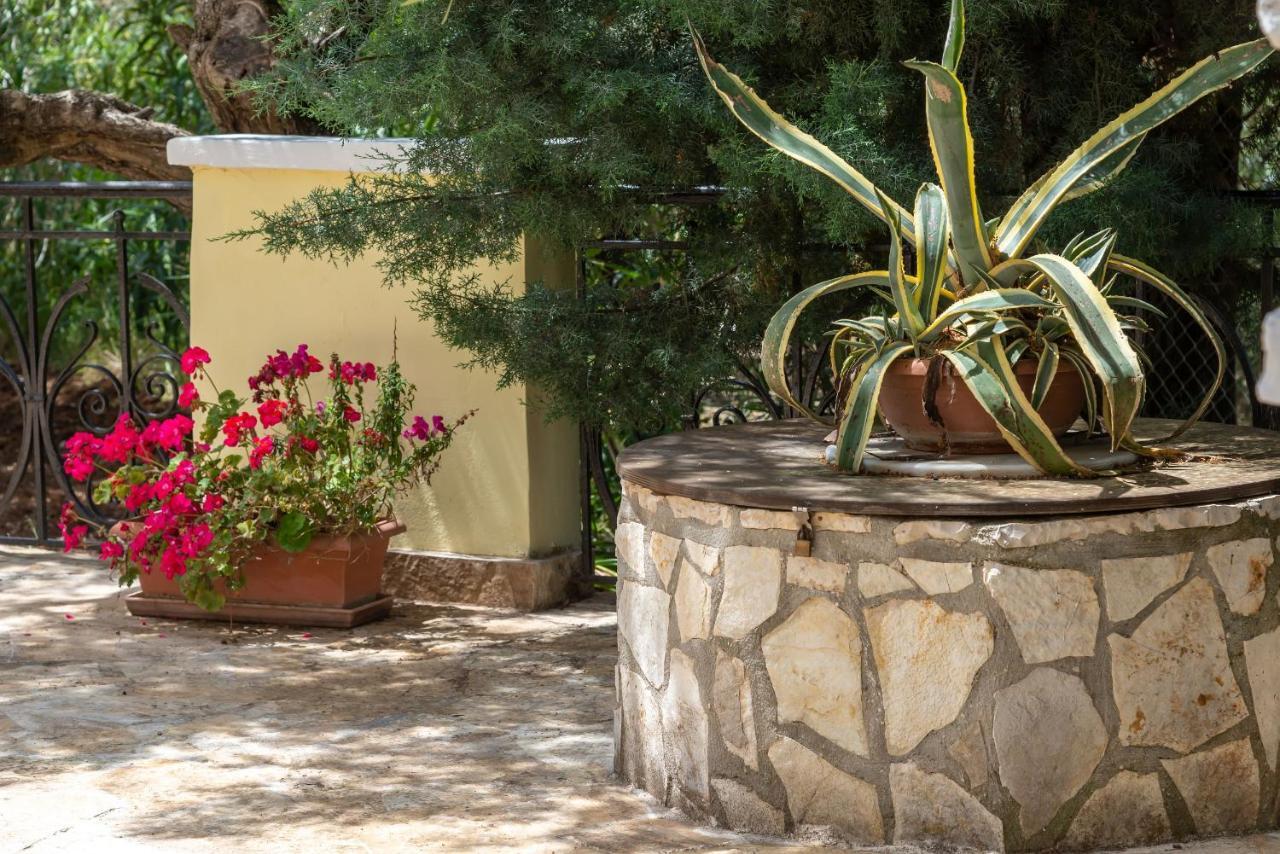 Olivegrove Villa - Nestled In Olive Trees With Private Pool, By Zantewize Tragaki Exterior photo